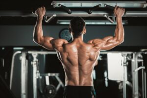 BACK EXERCISES